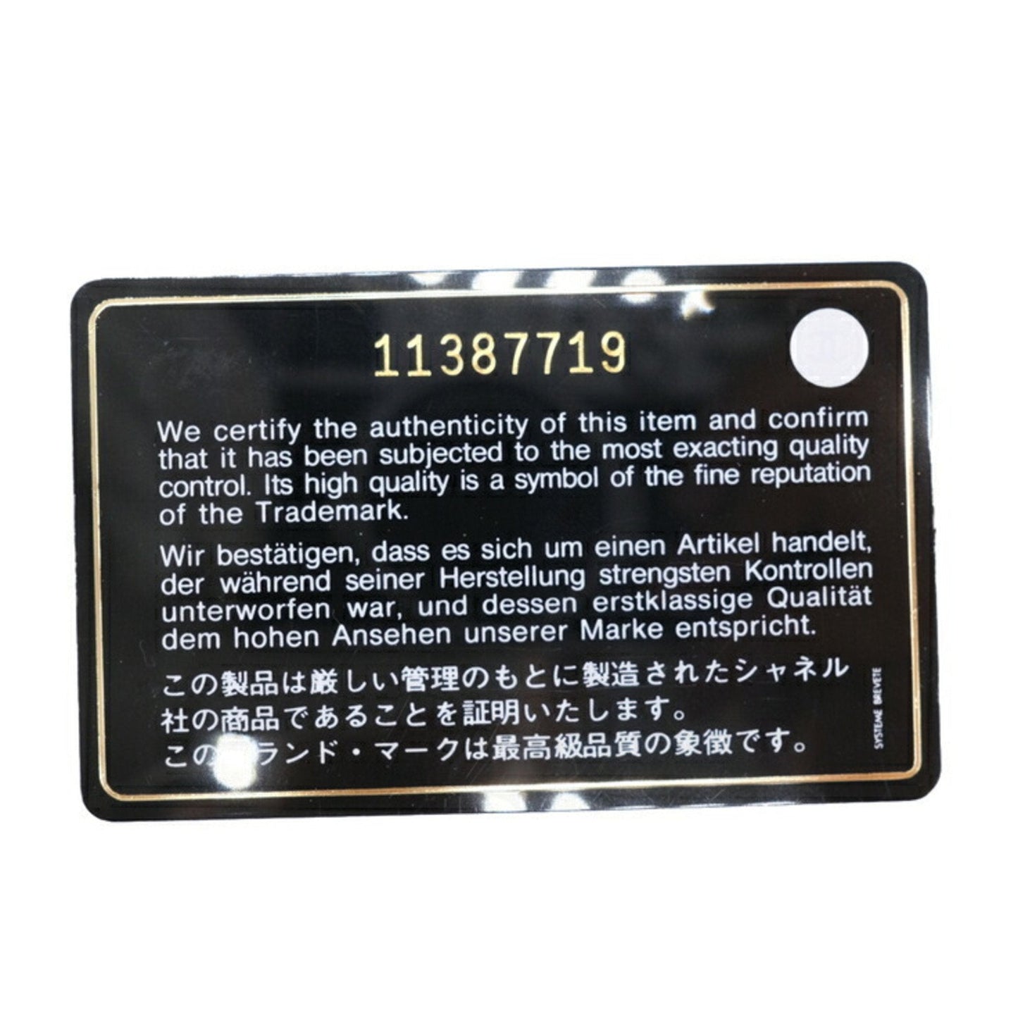 CHANEL Paris Biarritz Tote