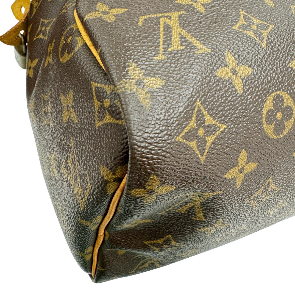 LOUIS VUITTON Speedy 30 Handbag