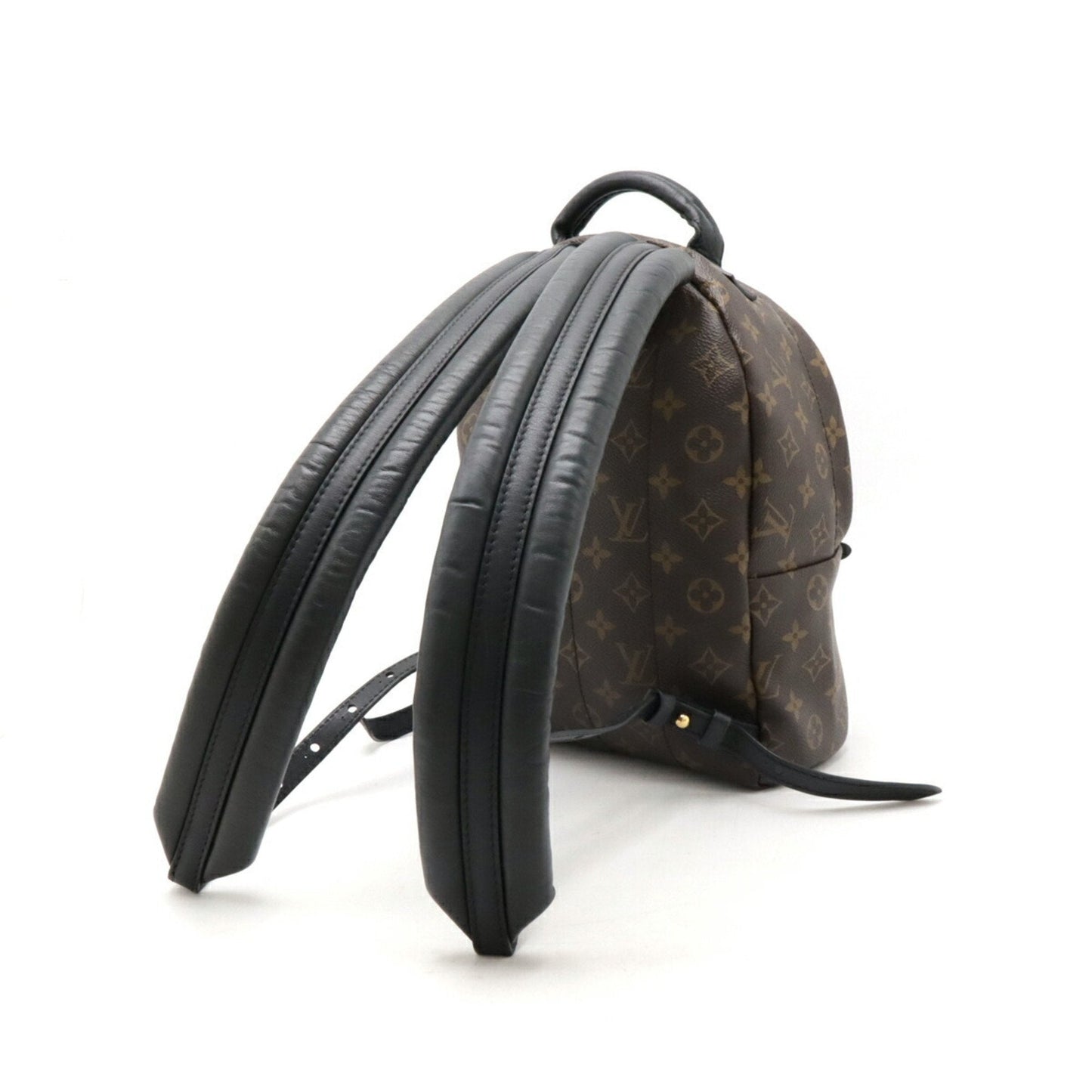 LOUIS VUITTON Palm SpRing mini Backpack
