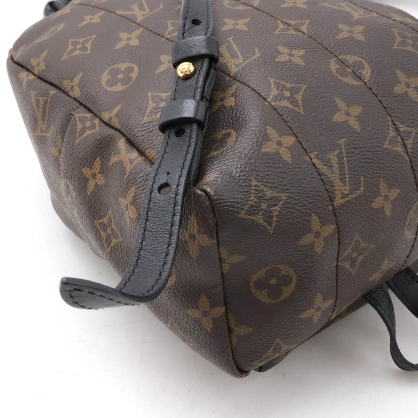 LOUIS VUITTON Palm SpRing mini Backpack