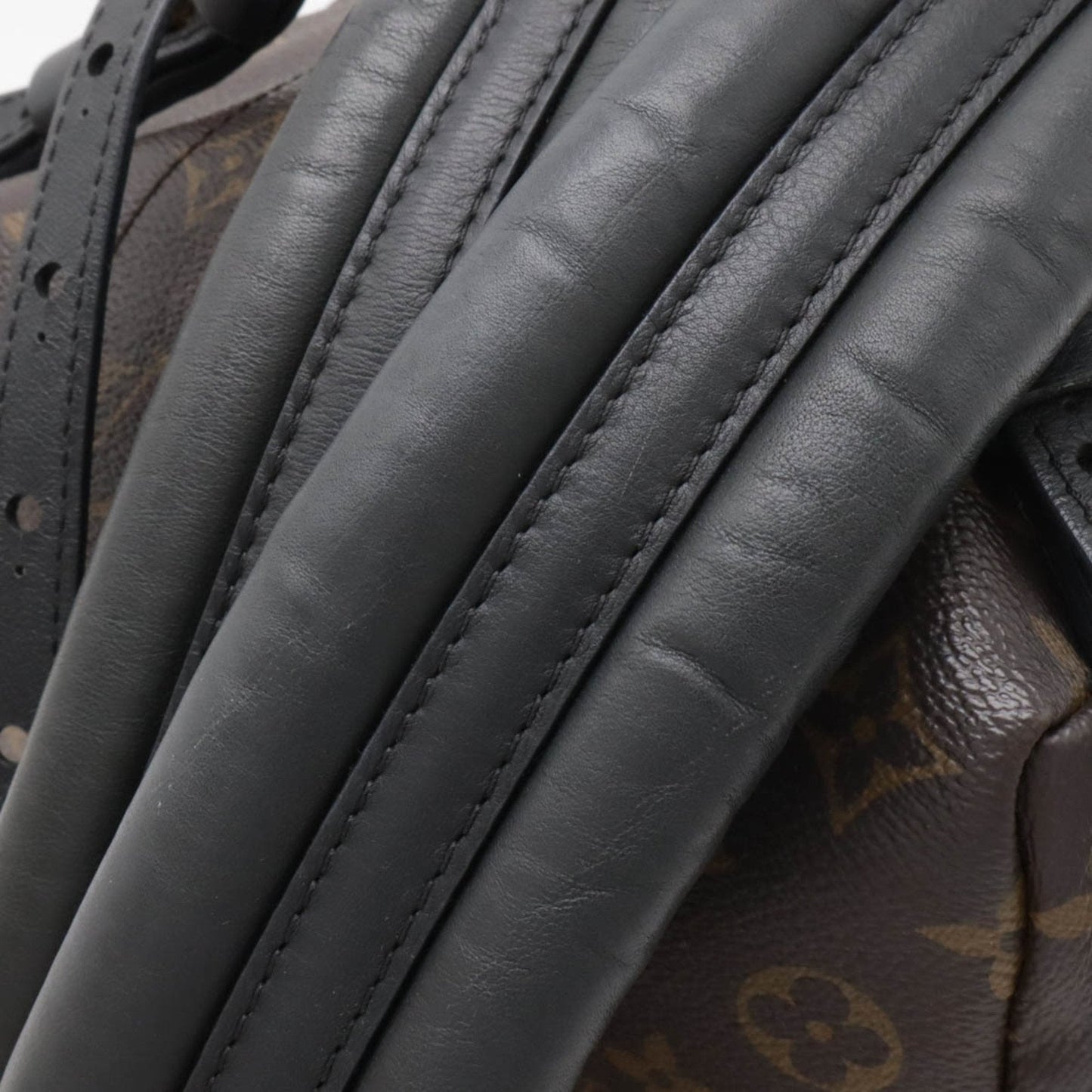 LOUIS VUITTON Palm SpRing mini Backpack