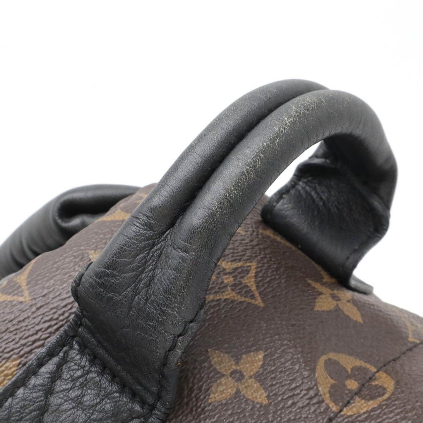 LOUIS VUITTON Palm SpRing mini Backpack