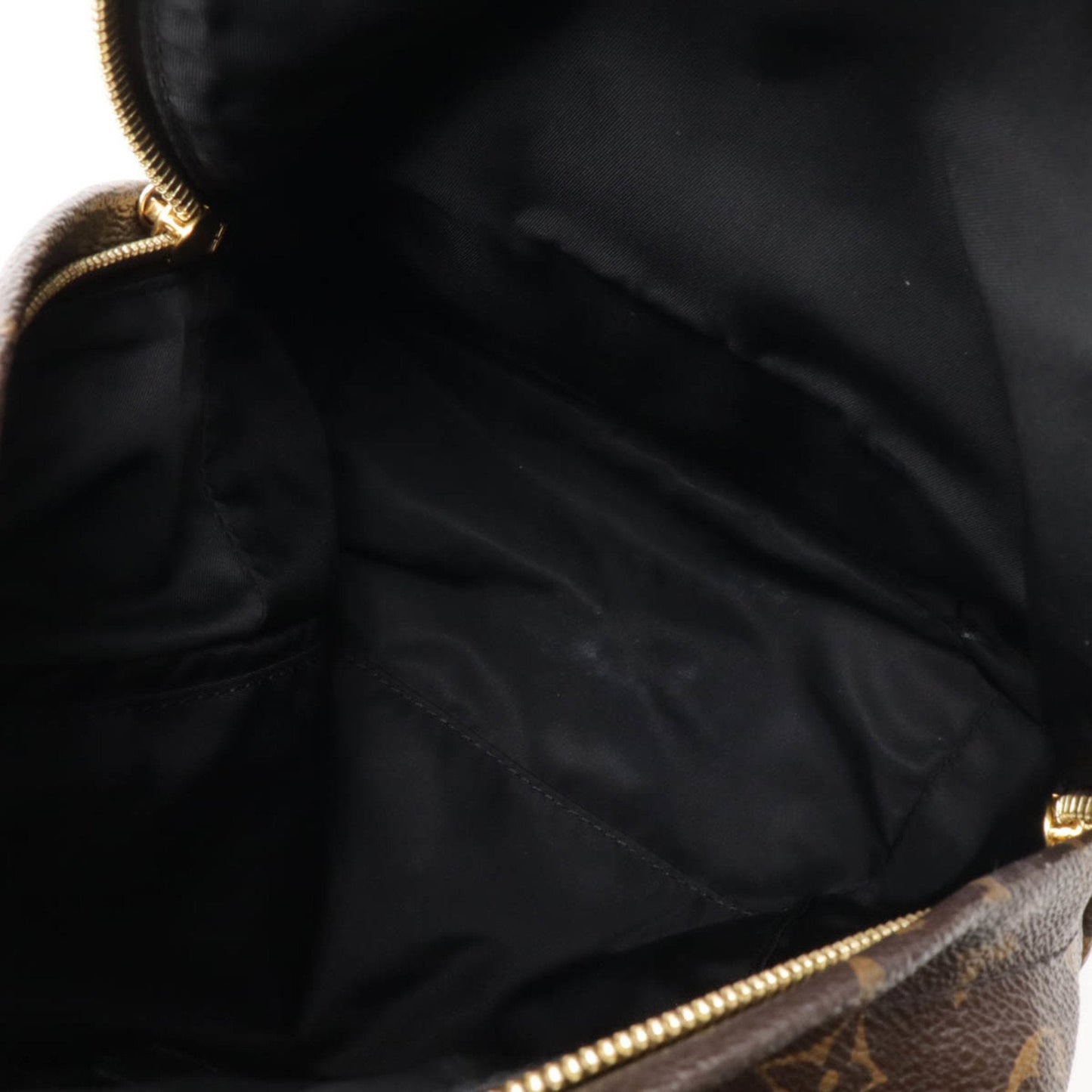 LOUIS VUITTON Palm SpRing mini Backpack