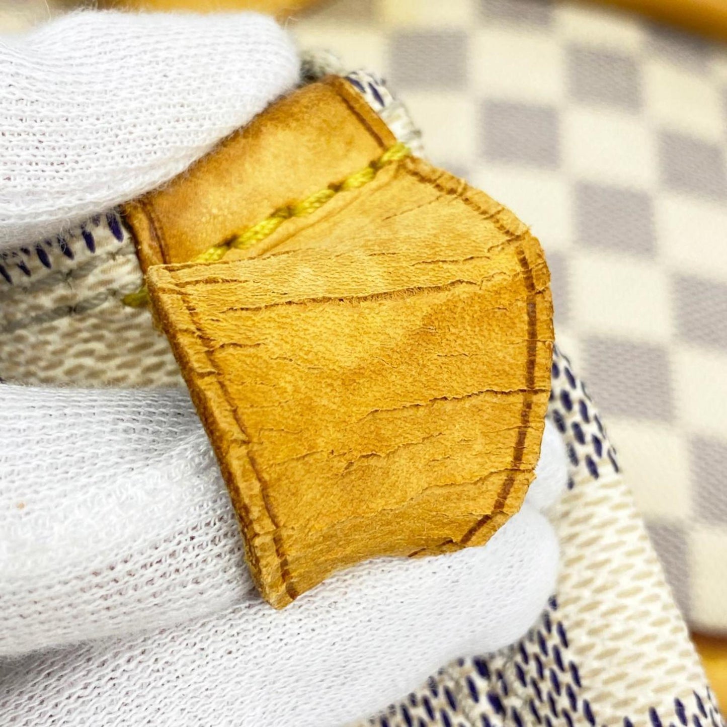 LOUIS VUITTON Saleya Tote