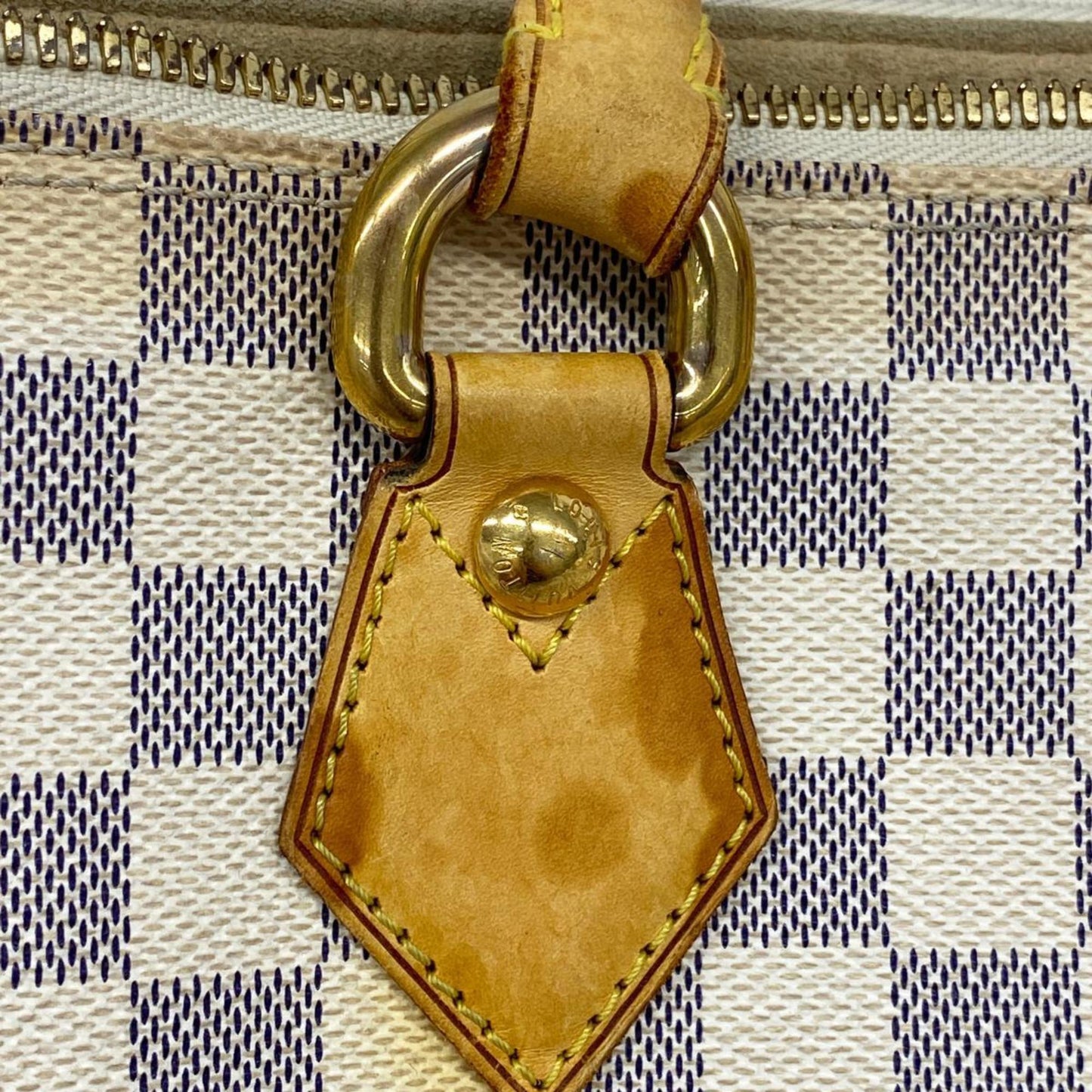 LOUIS VUITTON Saleya Tote