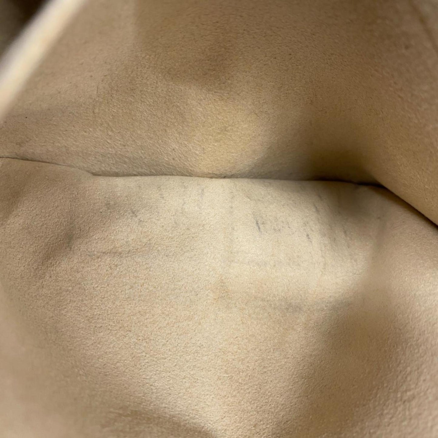 LOUIS VUITTON Saleya Tote