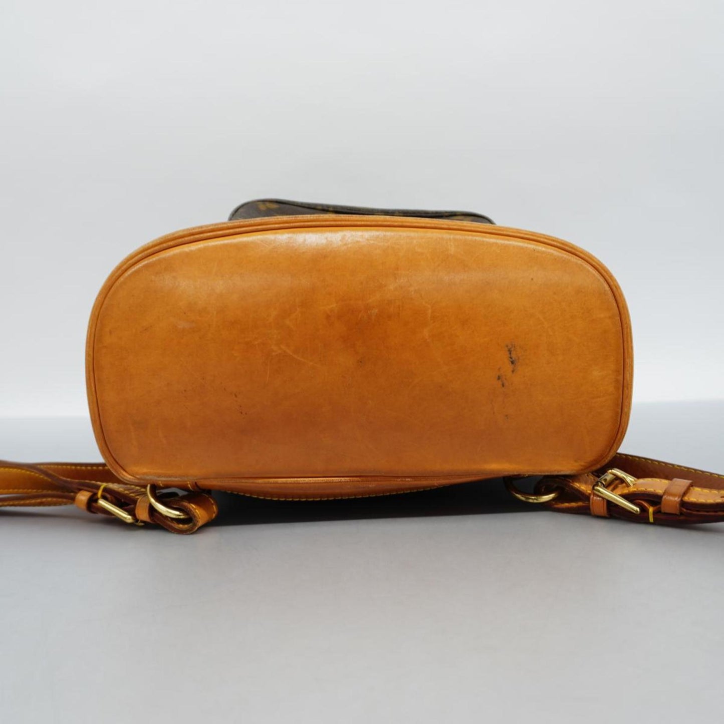 LOUIS VUITTON Montsouris MM Backpack