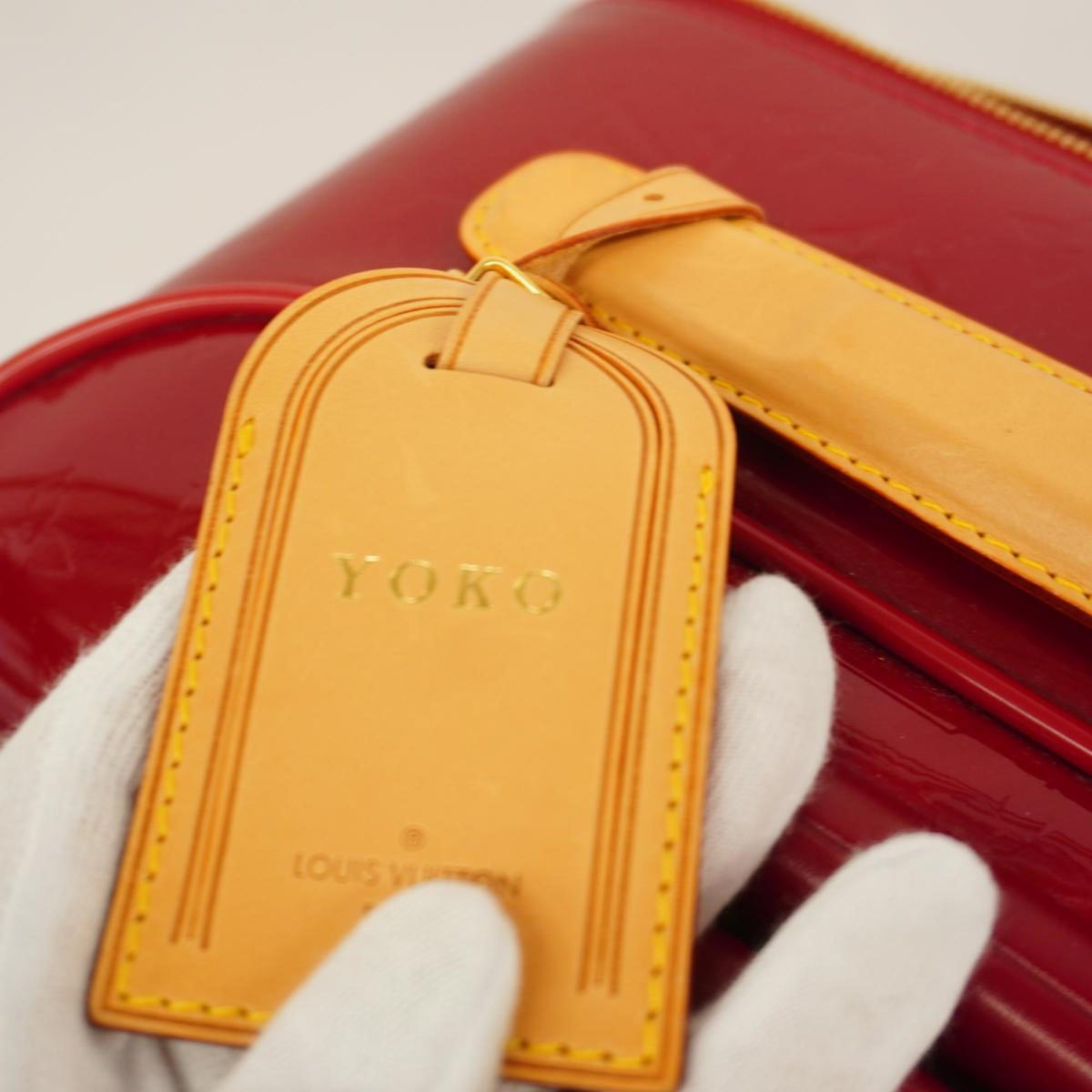 LOUIS VUITTON Pegase Travel