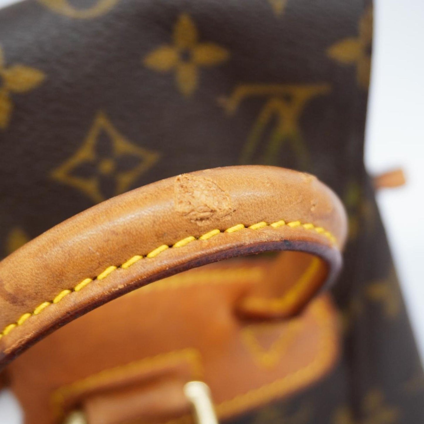 LOUIS VUITTON Montsouris Backpack