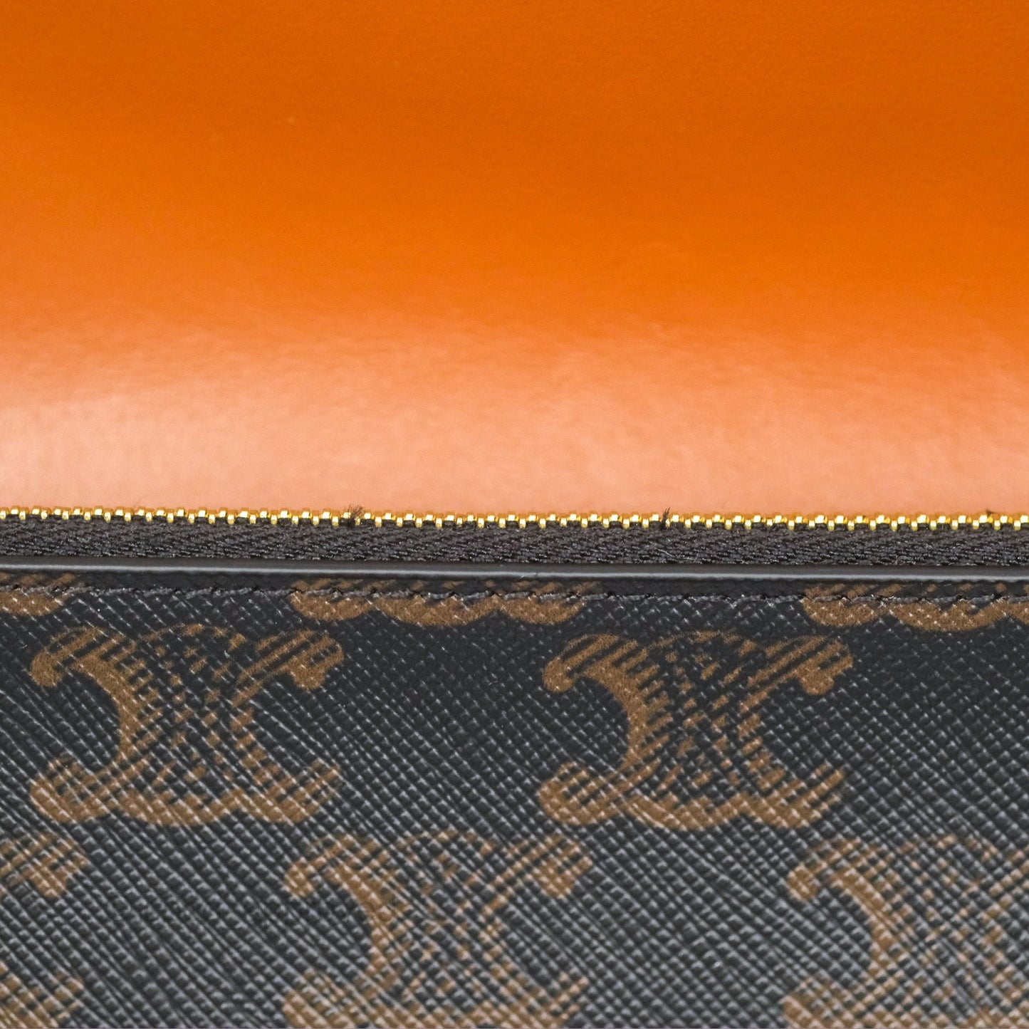 Celine Wallet On Strap Triomphe Canvas Tan Lambskin