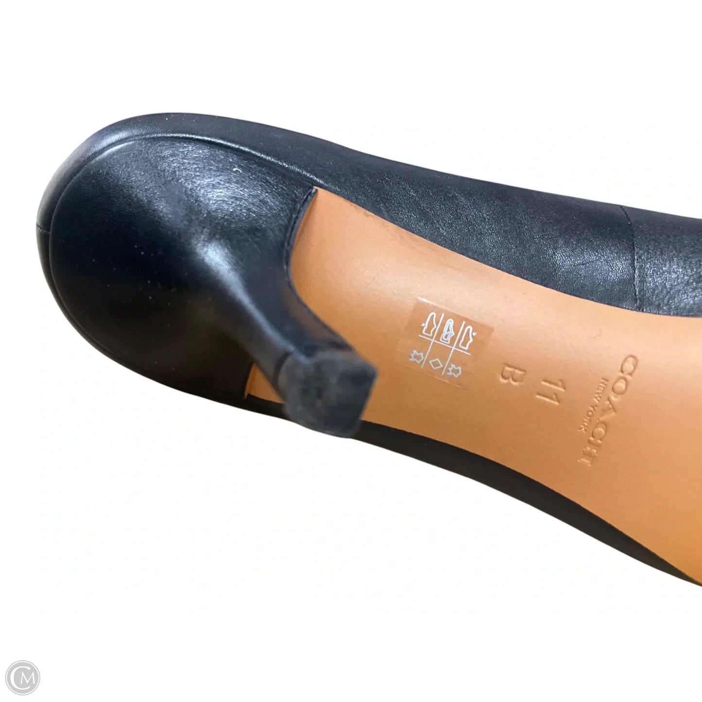 Shoes Designer By Coach In Animal Print, Size: 11