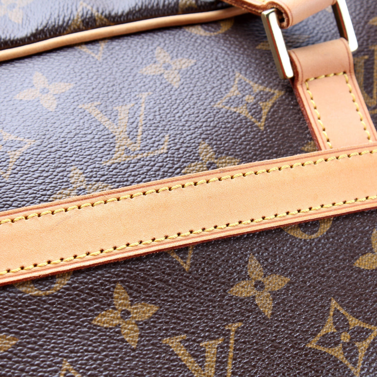 Porte Documents Pegase Monogram