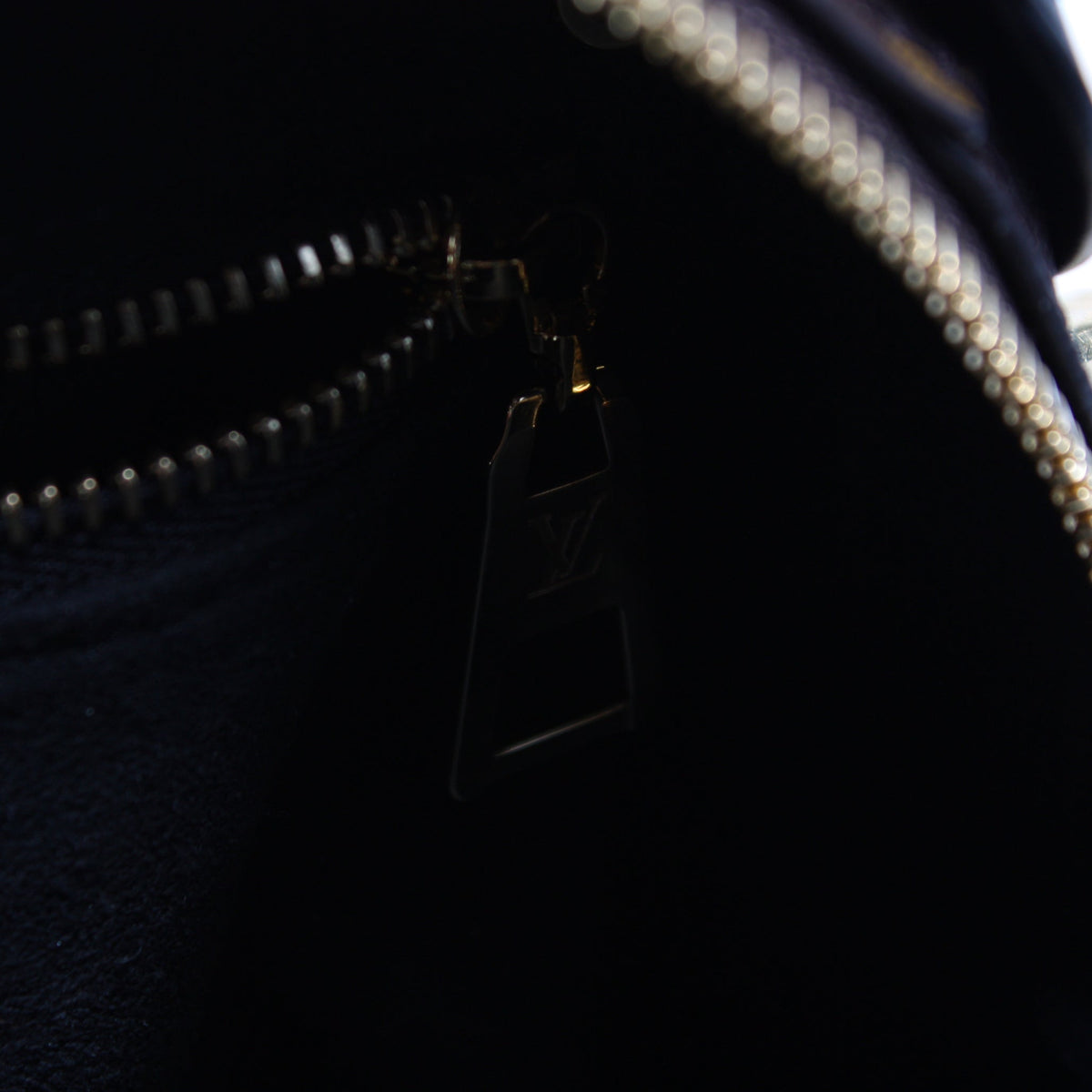Petite Malle Souple Monogram
