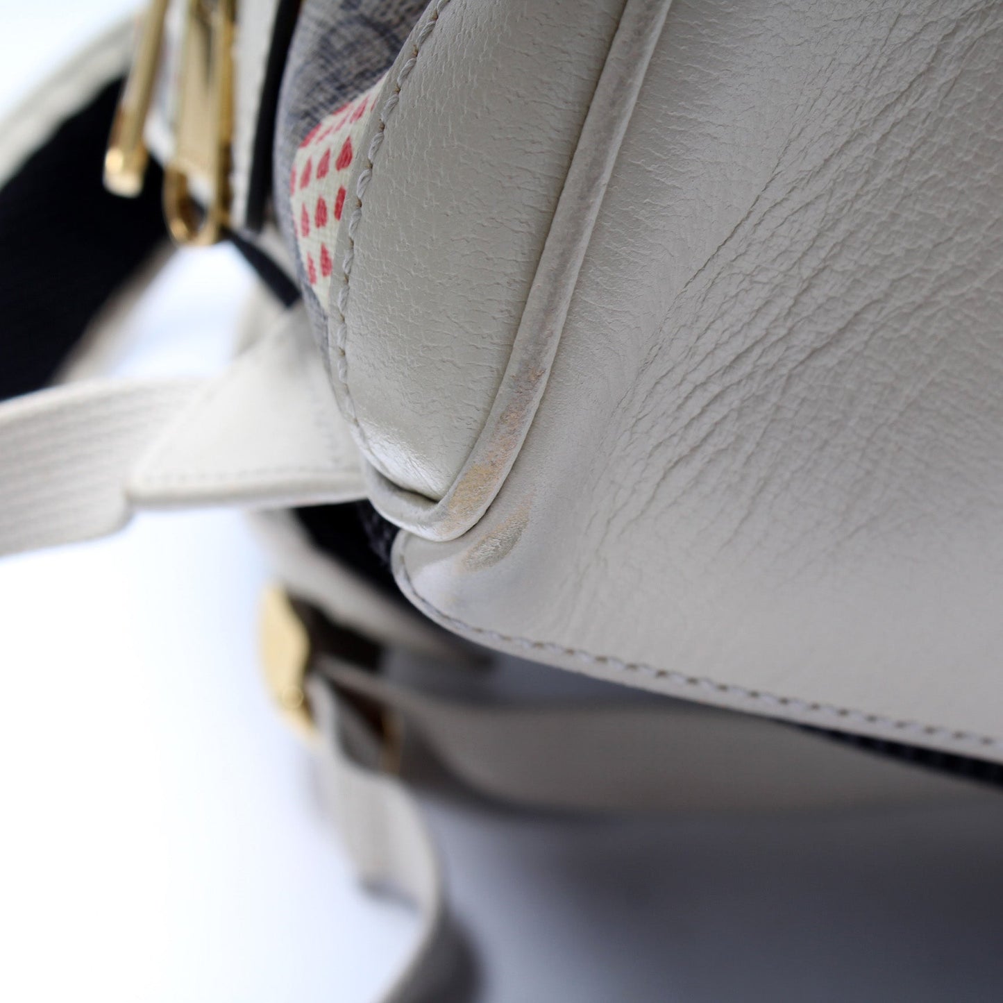 GG Supreme Les Pommes Backpack Small
