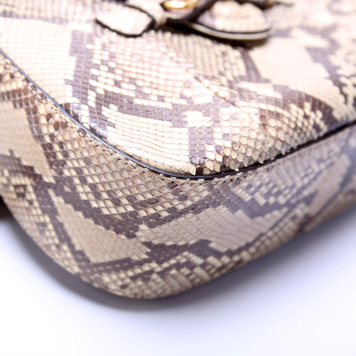 Lady Web Python