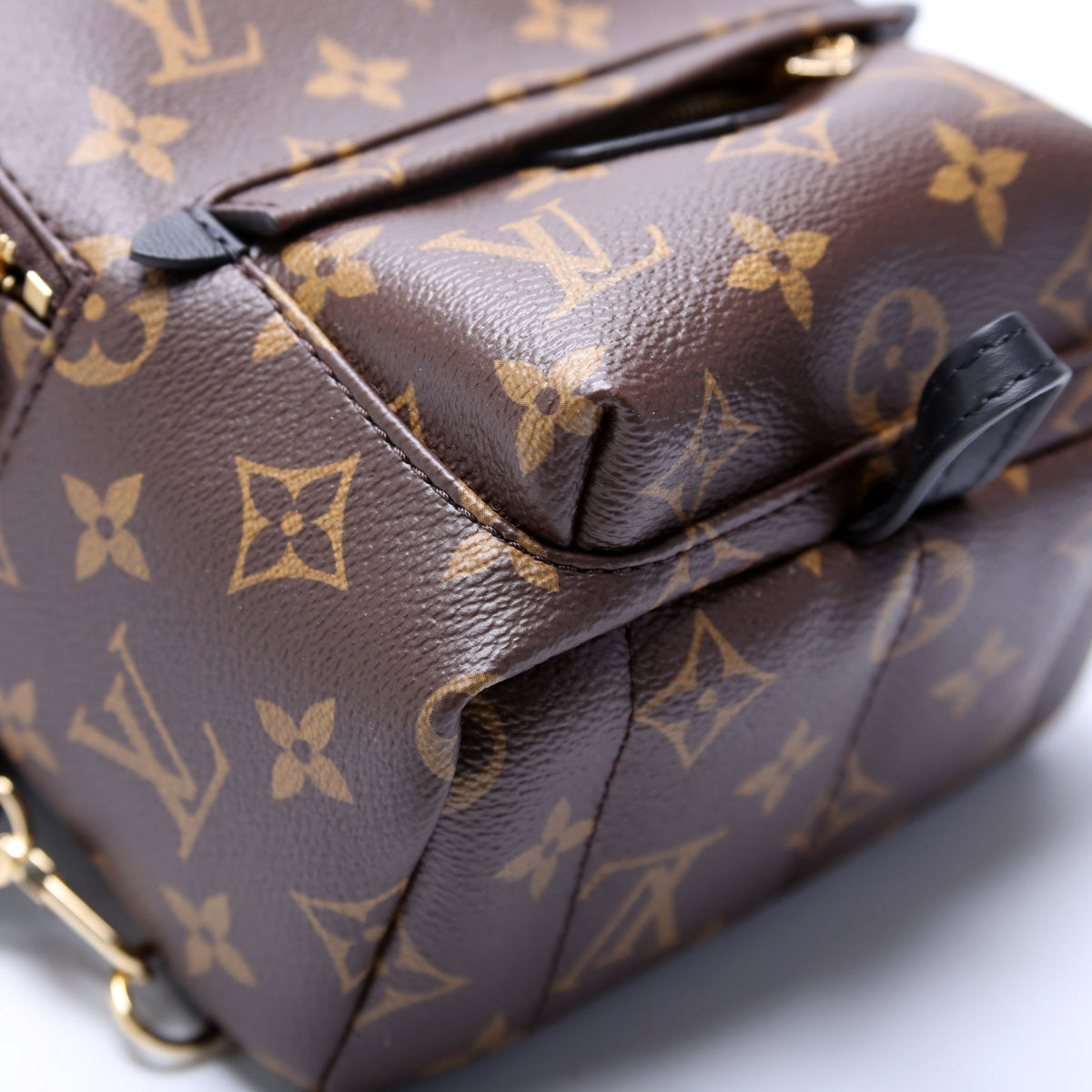 Palm Springs Mini Monogram 2021+
