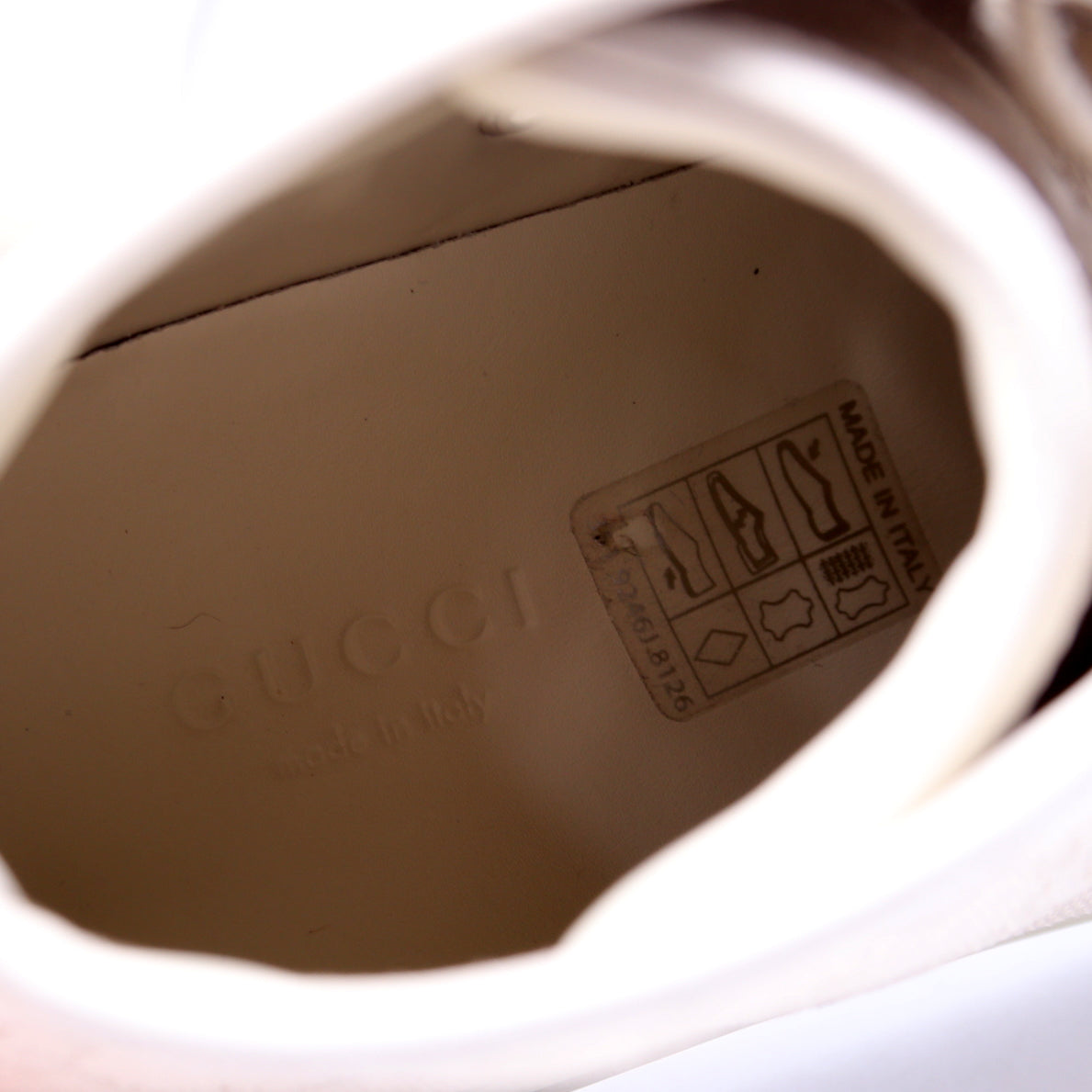 GG Canvas High Top Sneakers Size