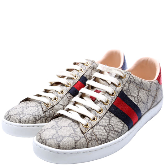 Ace Web GG Supreme Bee Sneakers Size