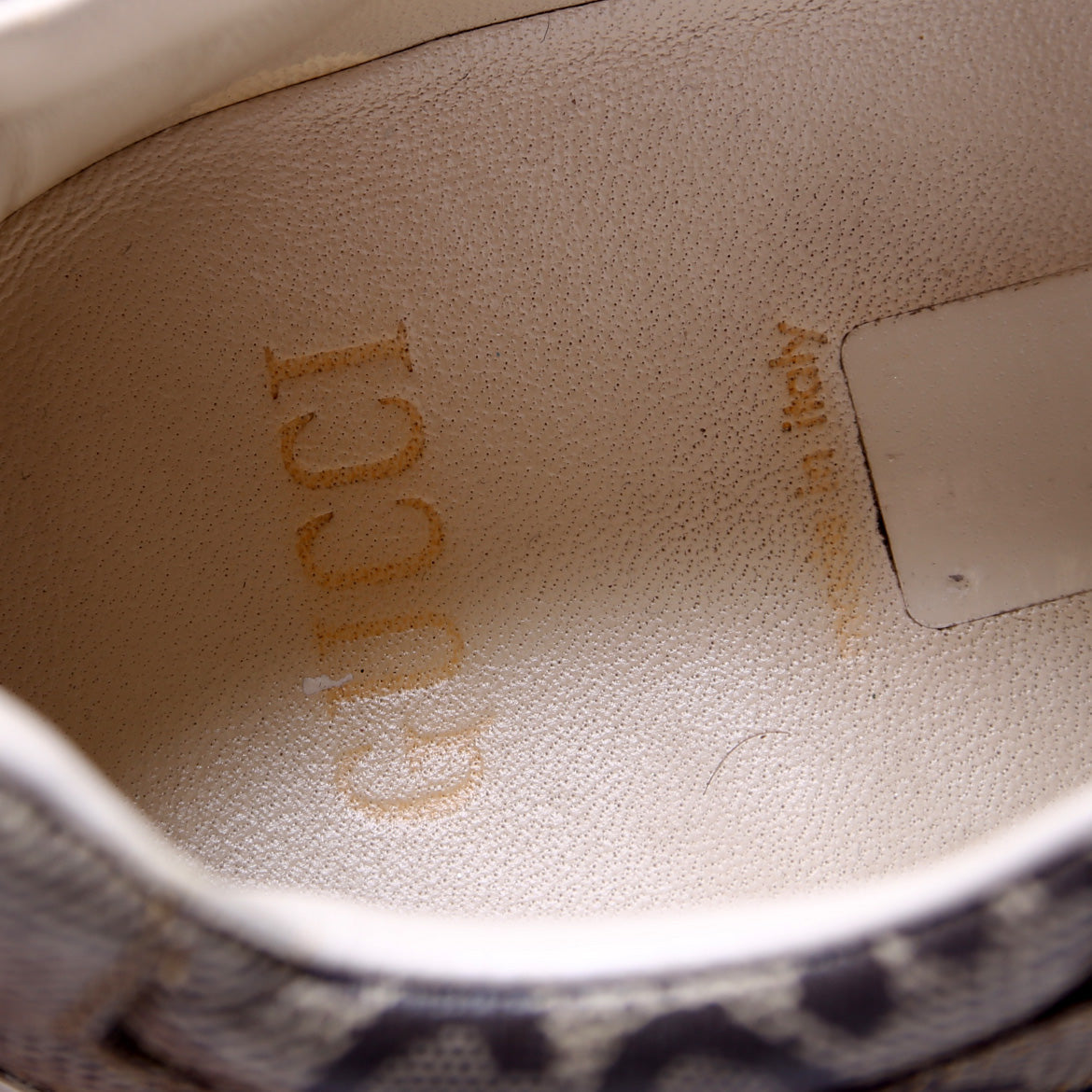 Rhyton Oversized GG Sneakers Size .