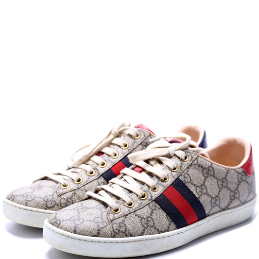 Ace Web GG Supreme Sneakers Size