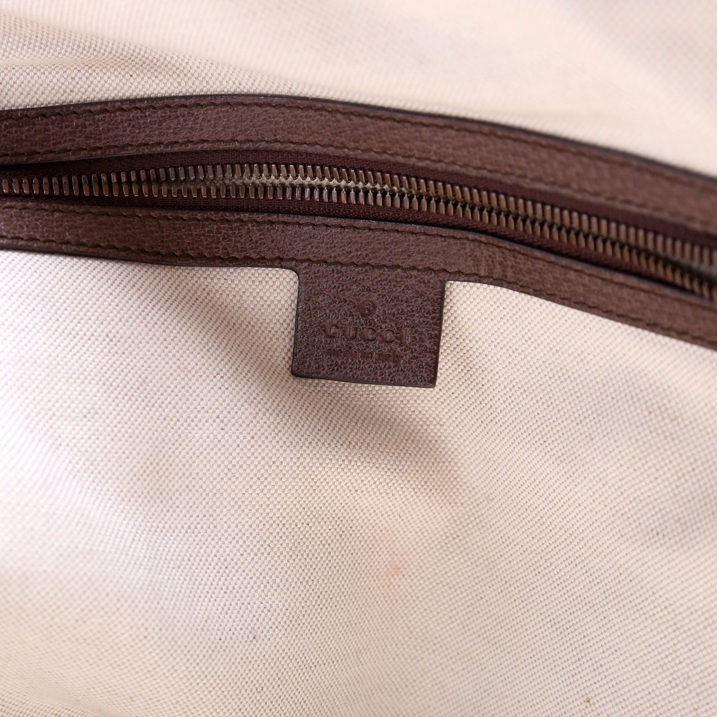 GG Supreme Ophidia Backpack Medium