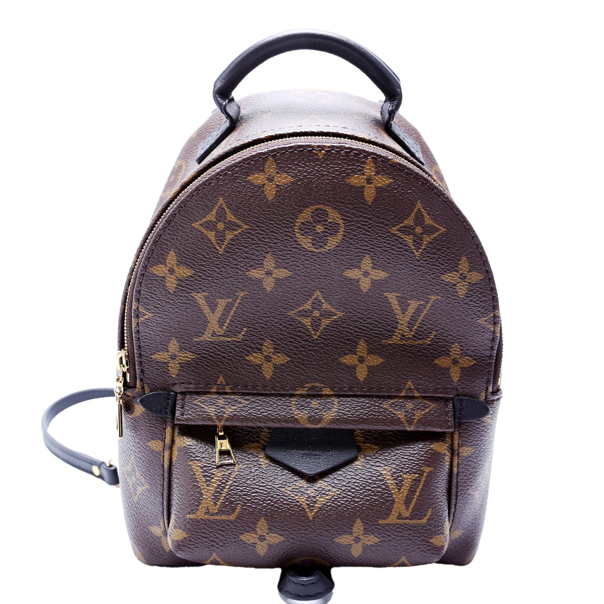 Palm Springs Mini NV Monogram