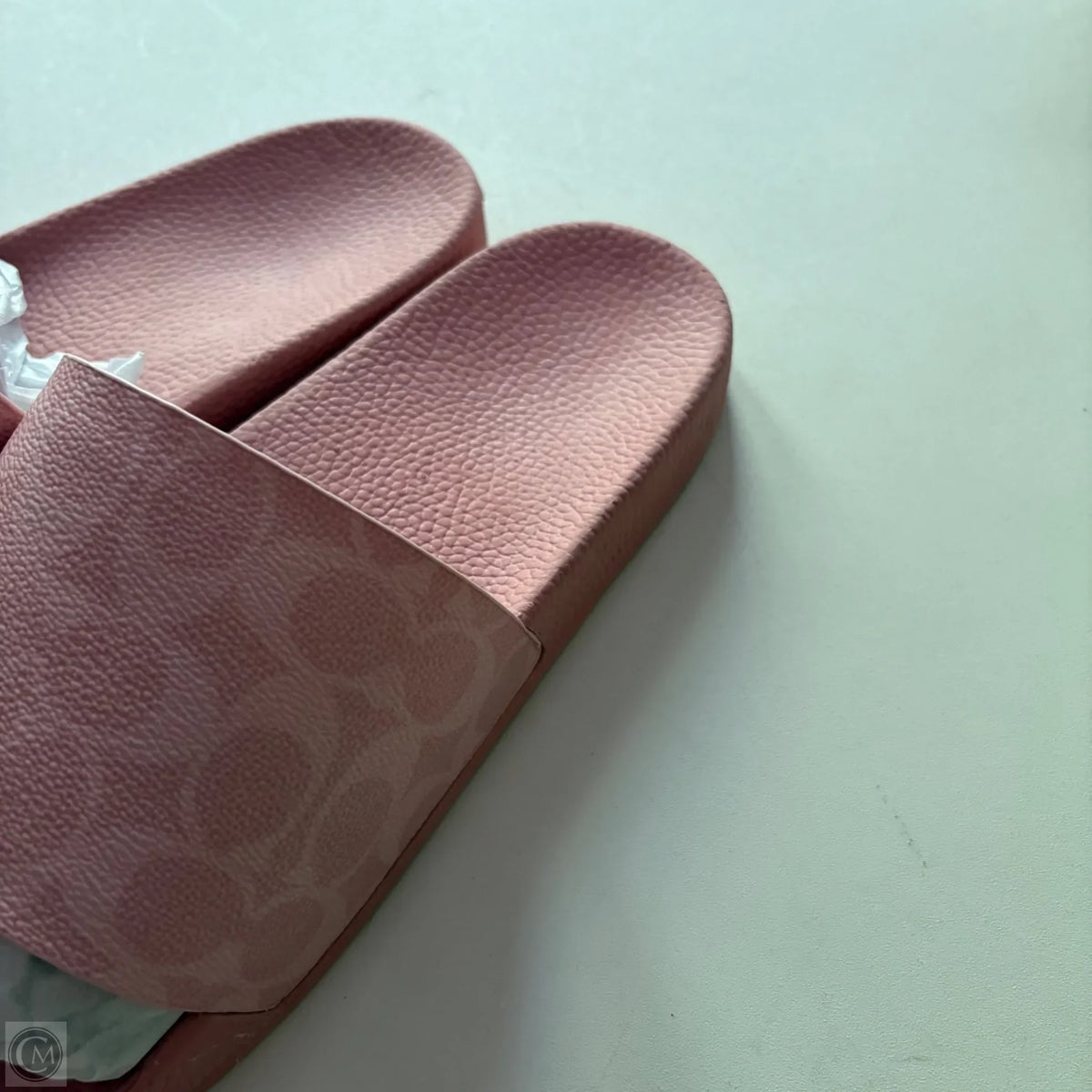 Sandals Designer By Coach In Pink, Size: 10