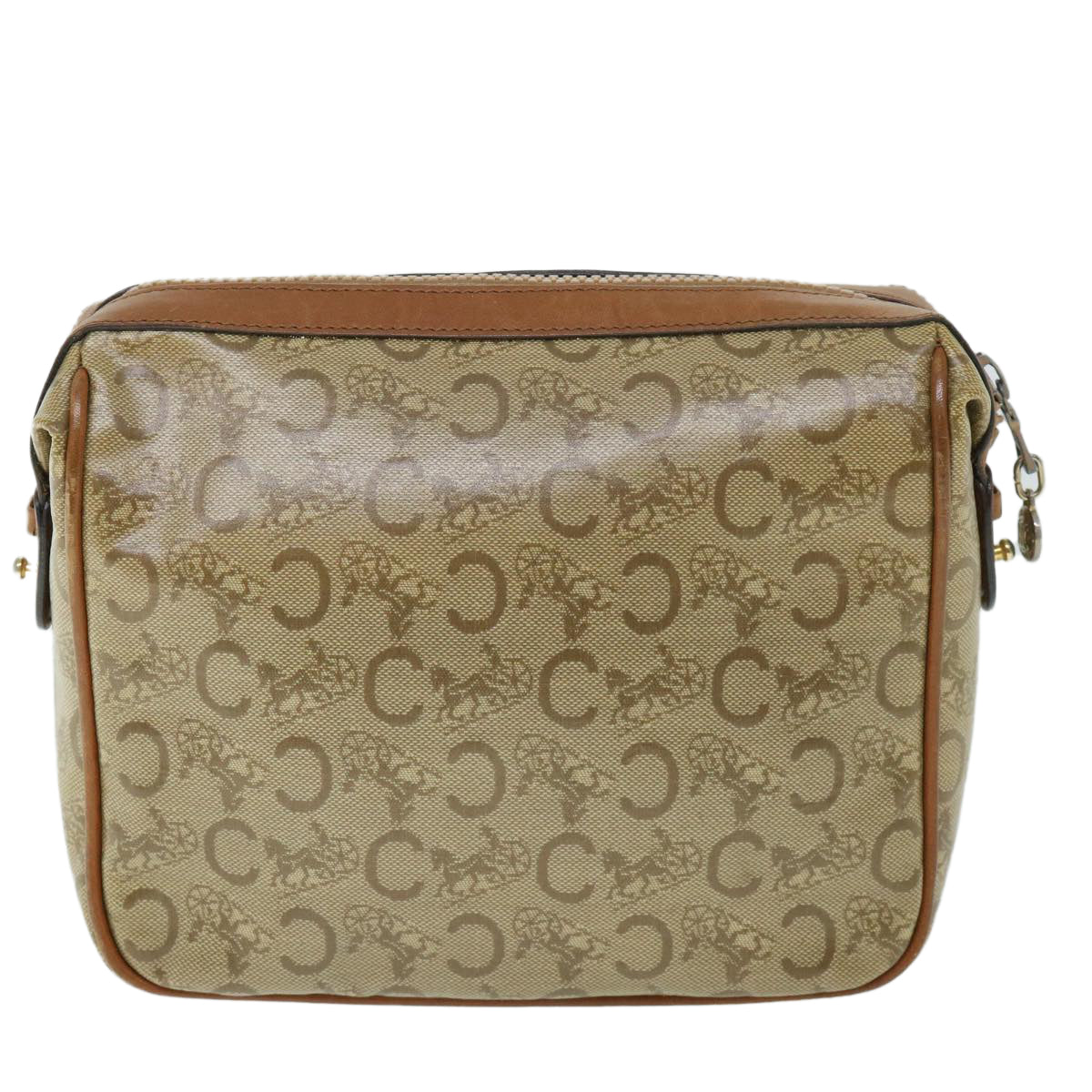 Dior  Clutch Bag