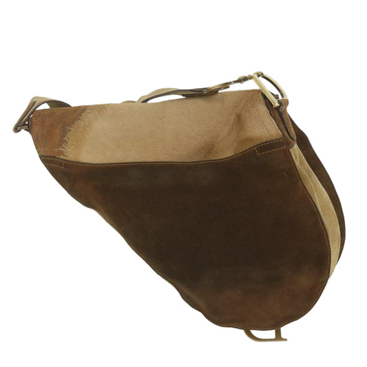 Dior Saddle Shoulder Bag