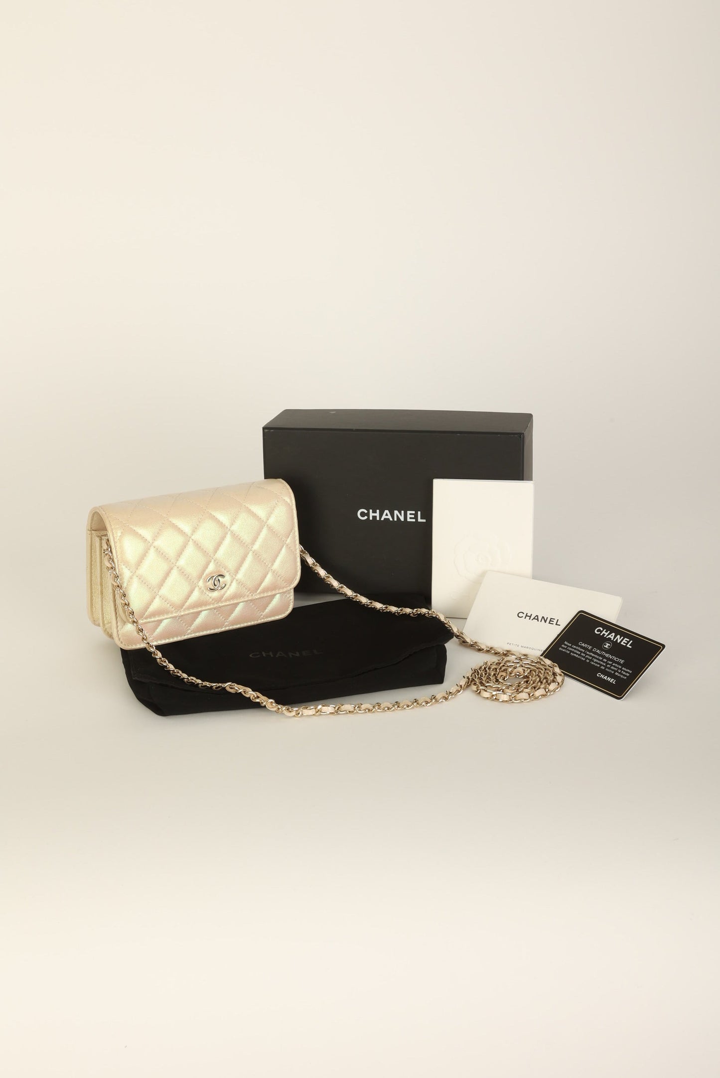 Chanel 2020 Lambskin Iridescent Wallet on Chain