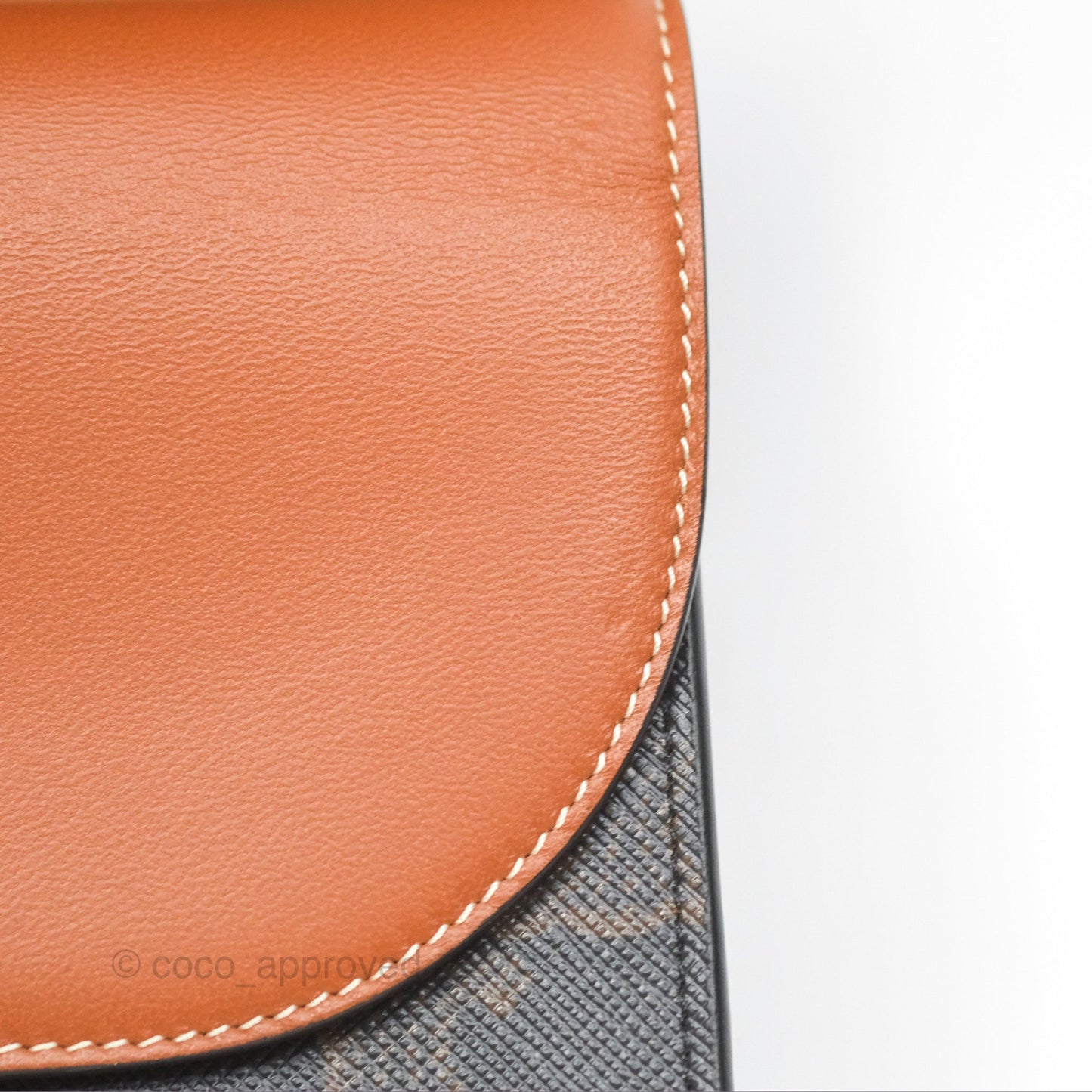 Celine Wallet On Strap Triomphe Canvas Tan Lambskin