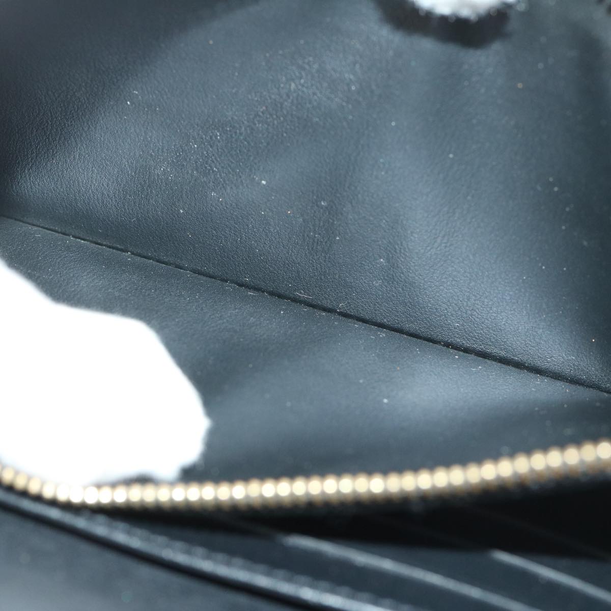 LOUIS VUITTON Suhali Wallet