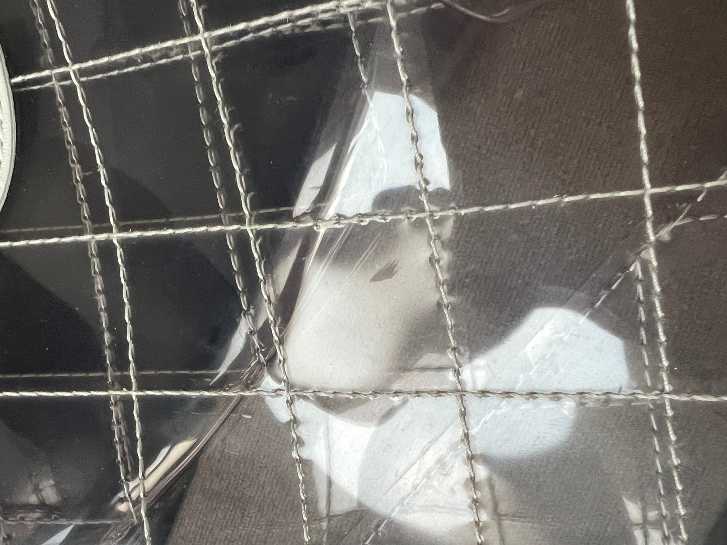 Chanel Quilted Large See Through CC Tote