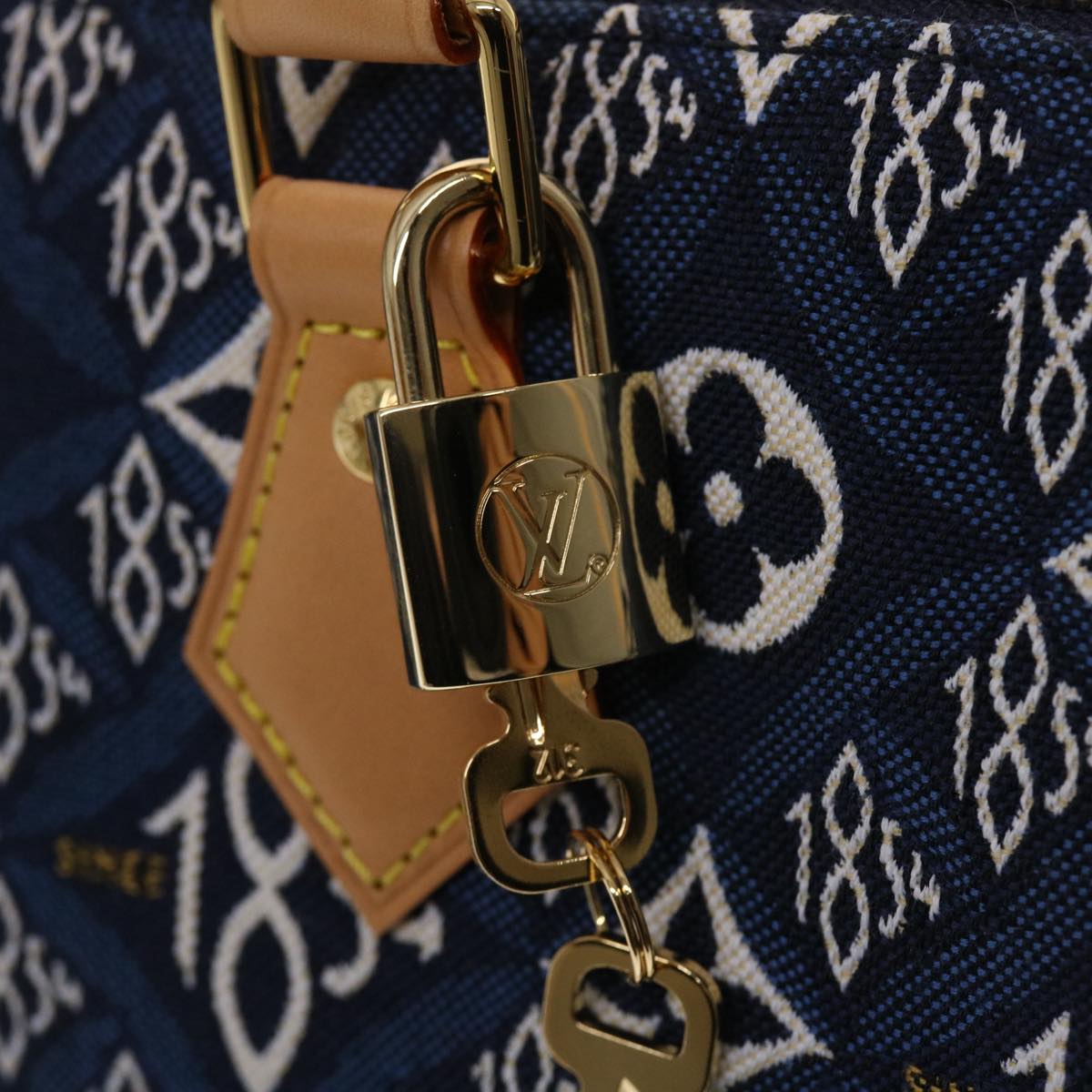 LOUIS VUITTON Speedy bandouliere 20 Handbag