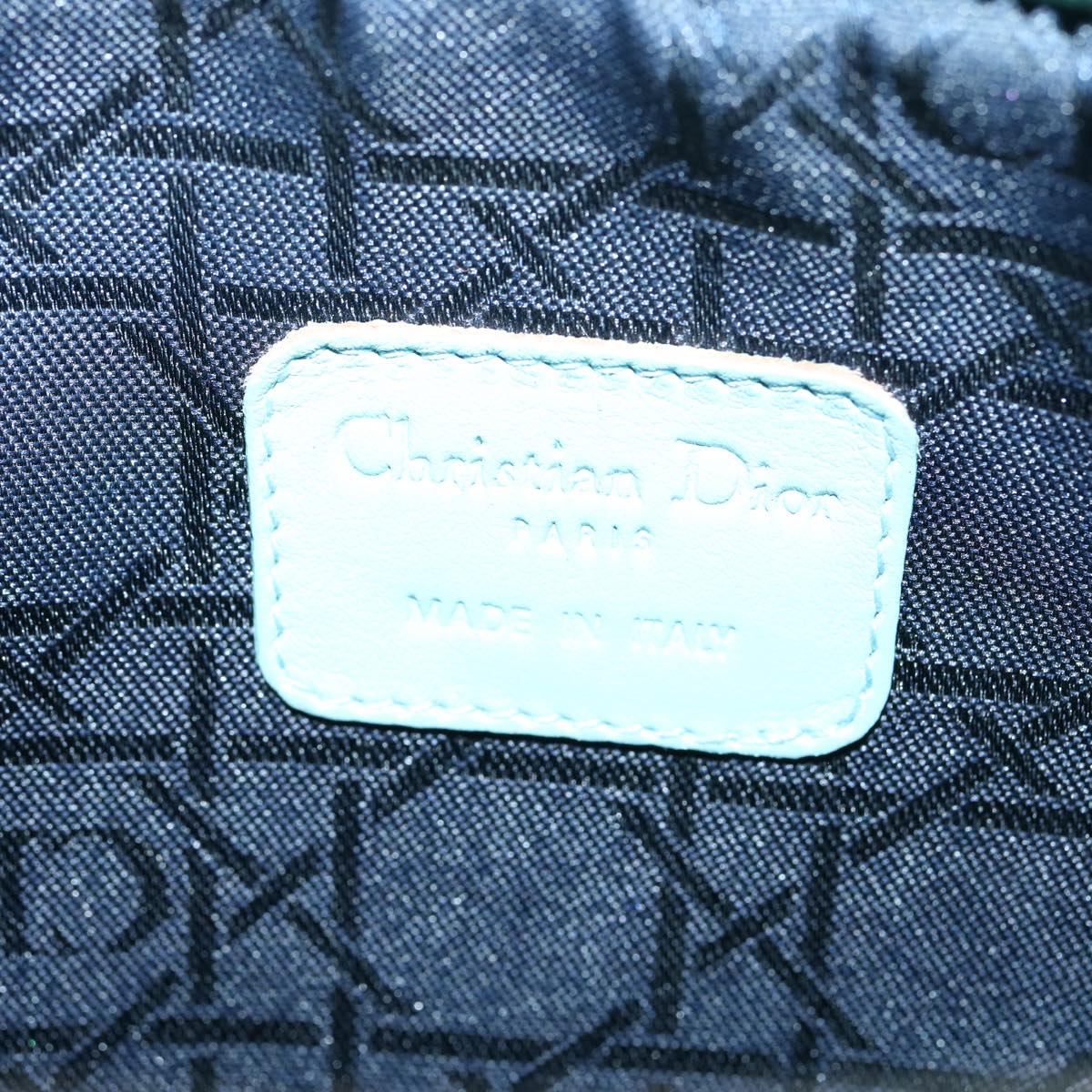 Dior Clutch Bag