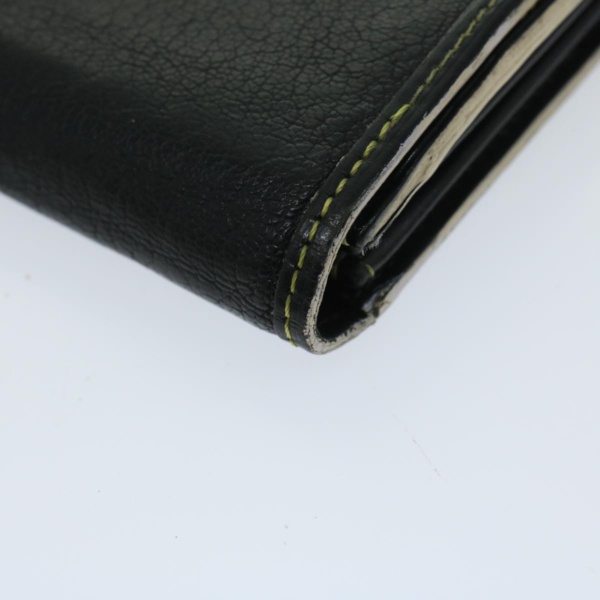 LOUIS VUITTON Suhali Wallet