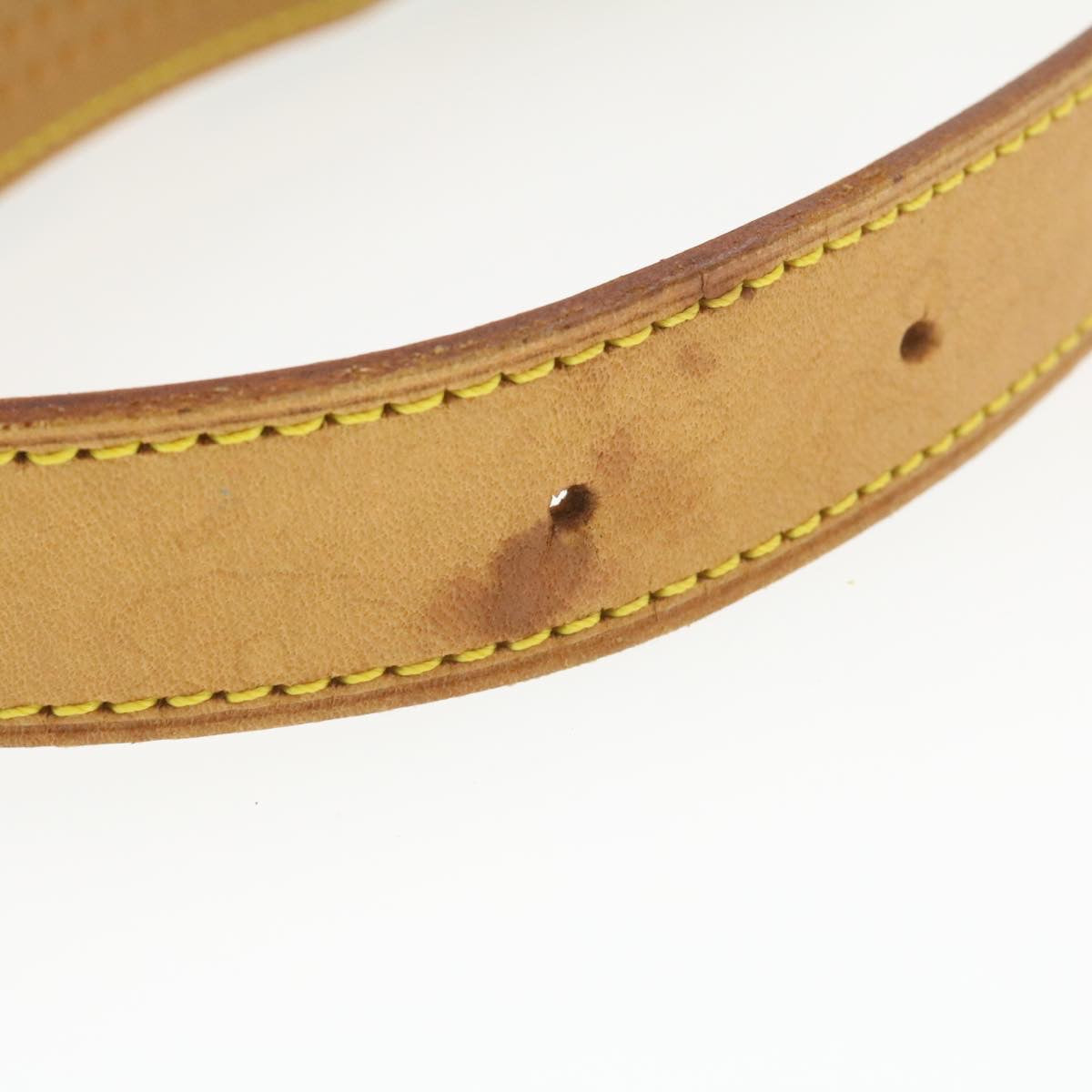 Louis Vuitton Saumur 35 Shoulder Bag