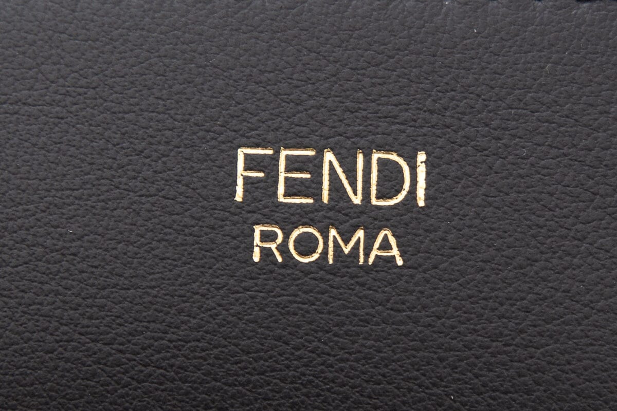 Fendi Black Monogram Mon Tresor Plexi Bucket Bag