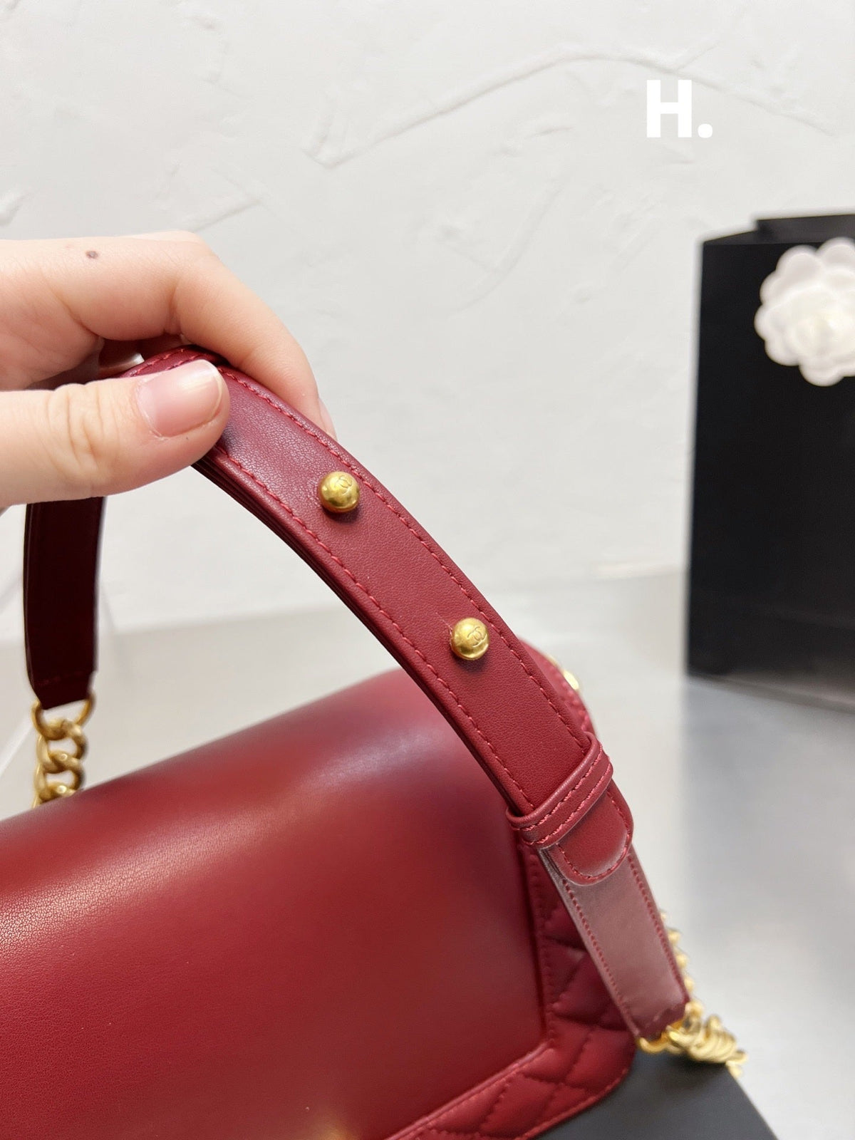 Luxury Edition Bags CH-L 305