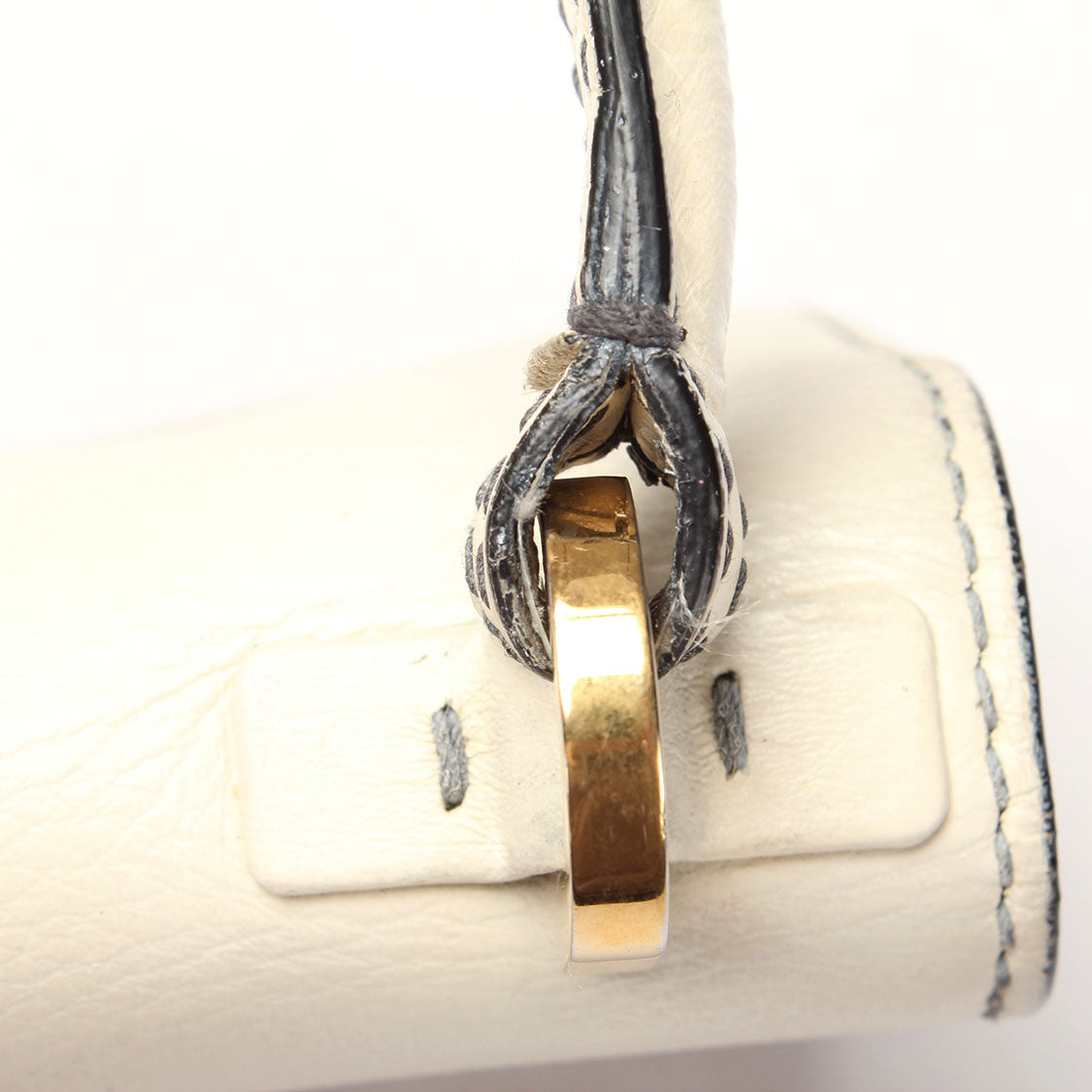 Dio(r)evolution Flap Bag