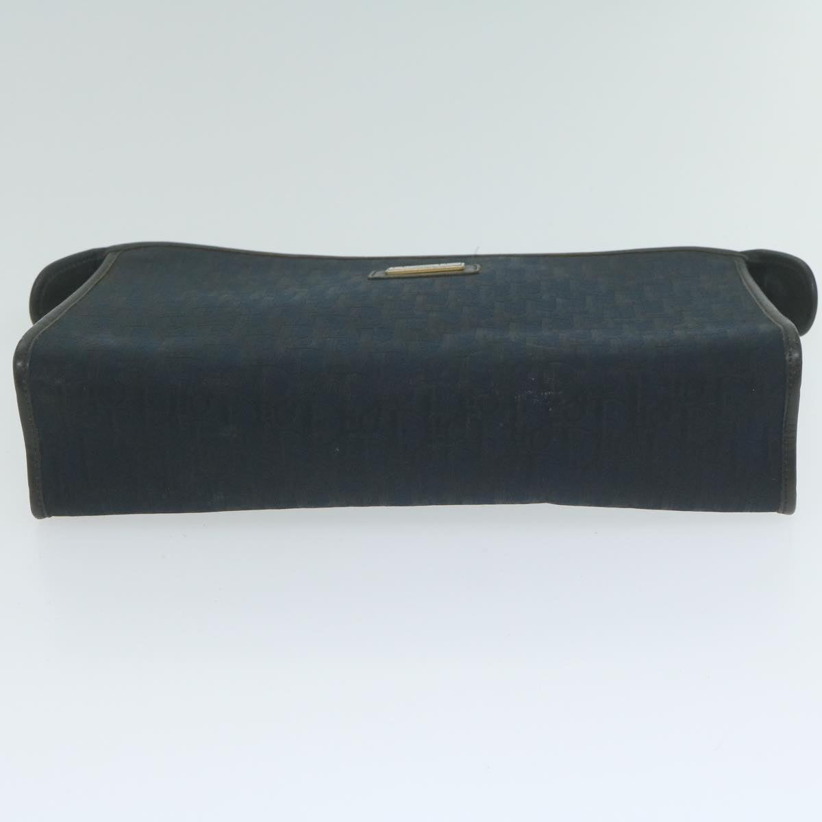Dior Clutch Bag