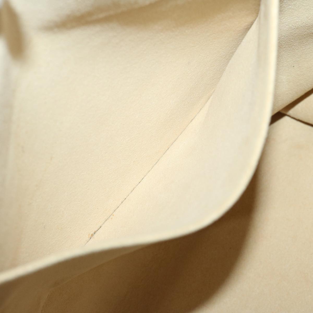 LOUIS VUITTON Saleya Tote