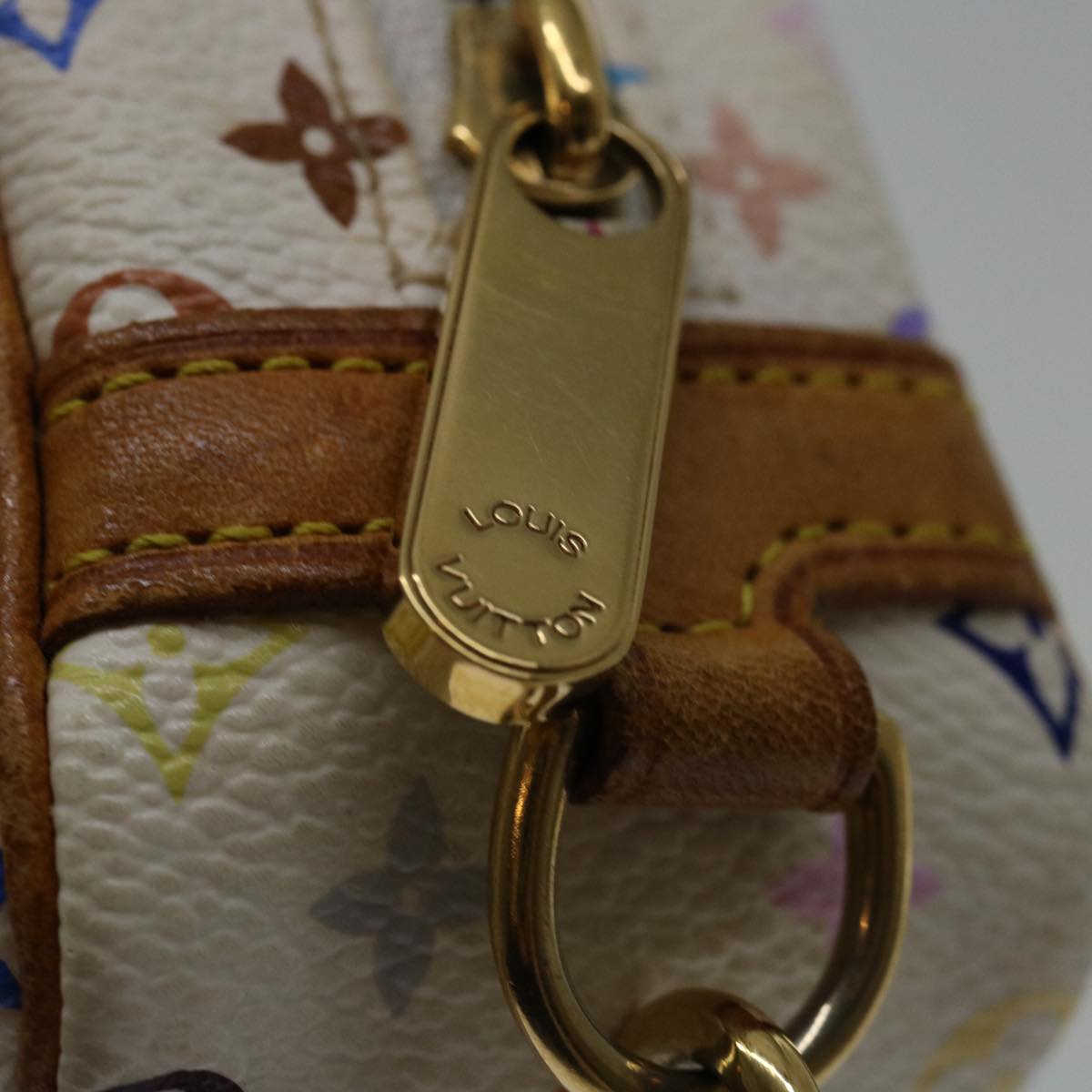 LOUIS VUITTON Wapity Clutch Bag