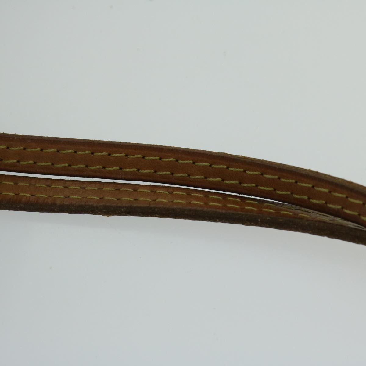 LOUIS VUITTON Neverfull GM Tote