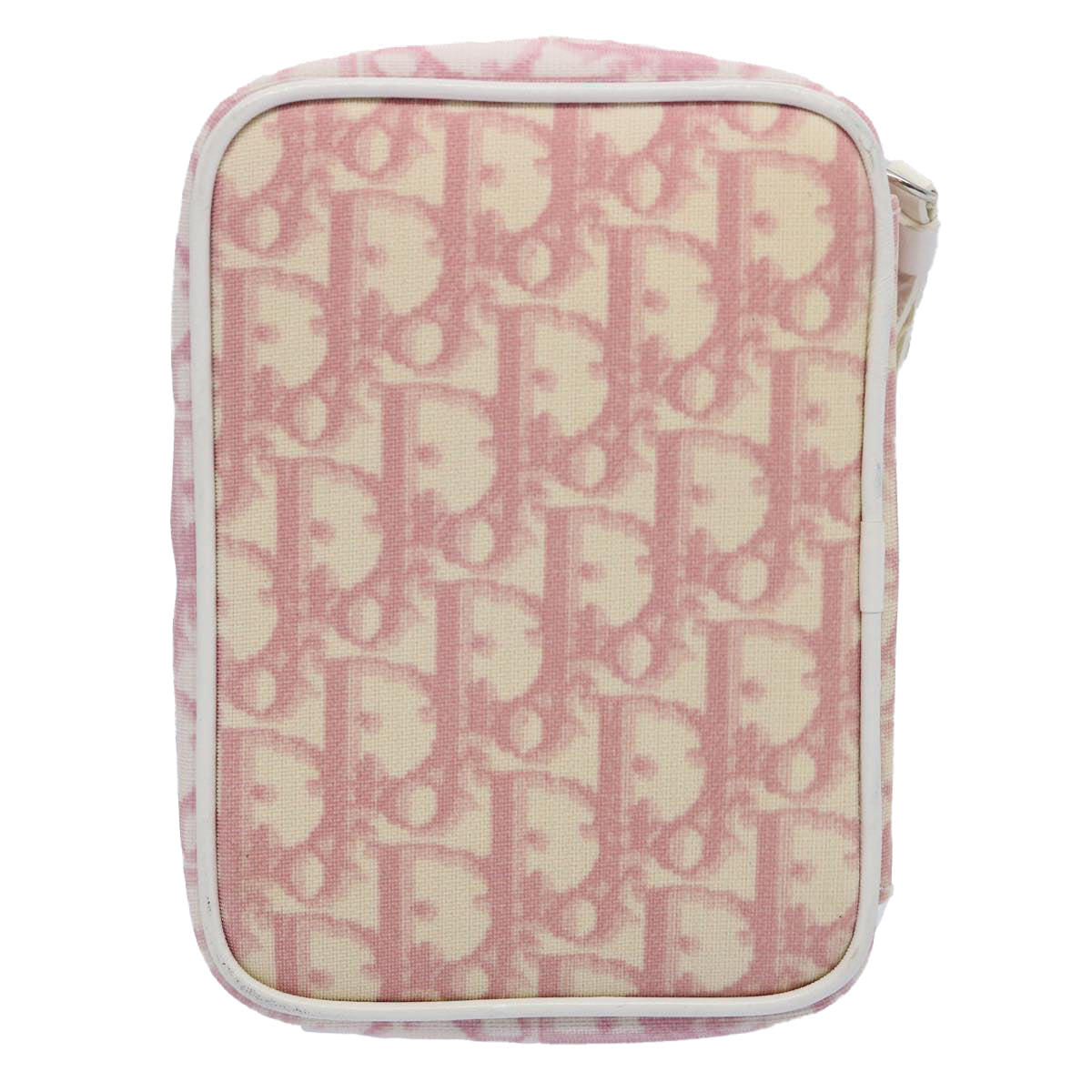 Dior Clutch Bag