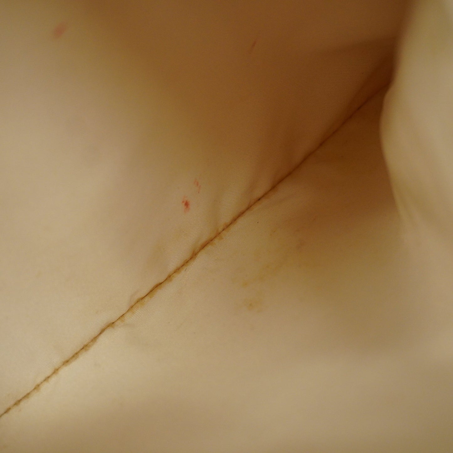 ChanelAuth  New Travel Line Women's Leather,Nylon Tote Bag Beige