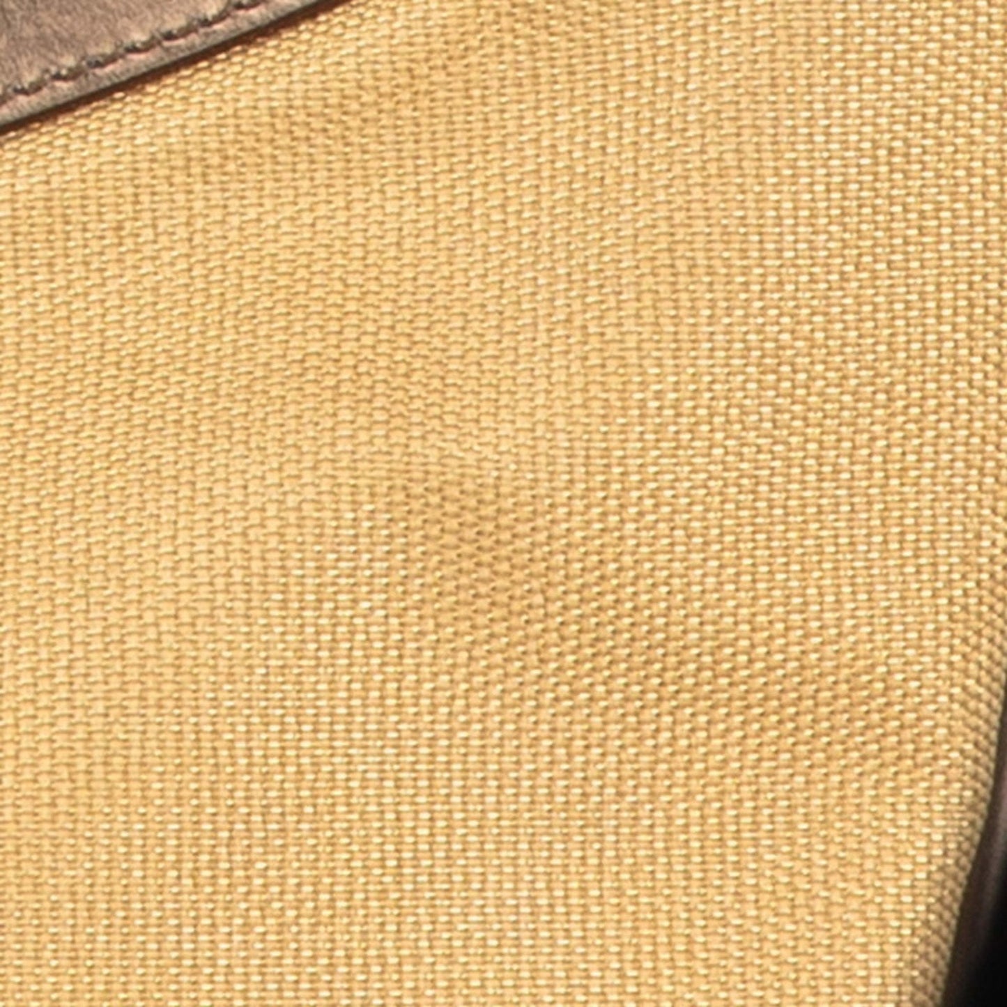 Gucci Beige Bronze Canvas Leather Handbag
