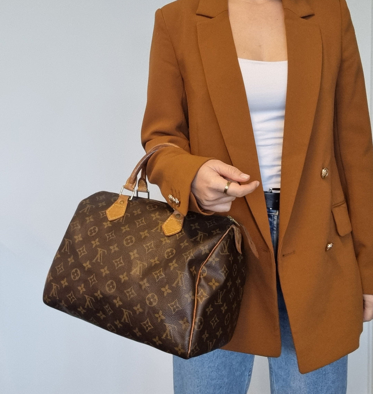 Louis Vuitton Speedy 30 Monogram