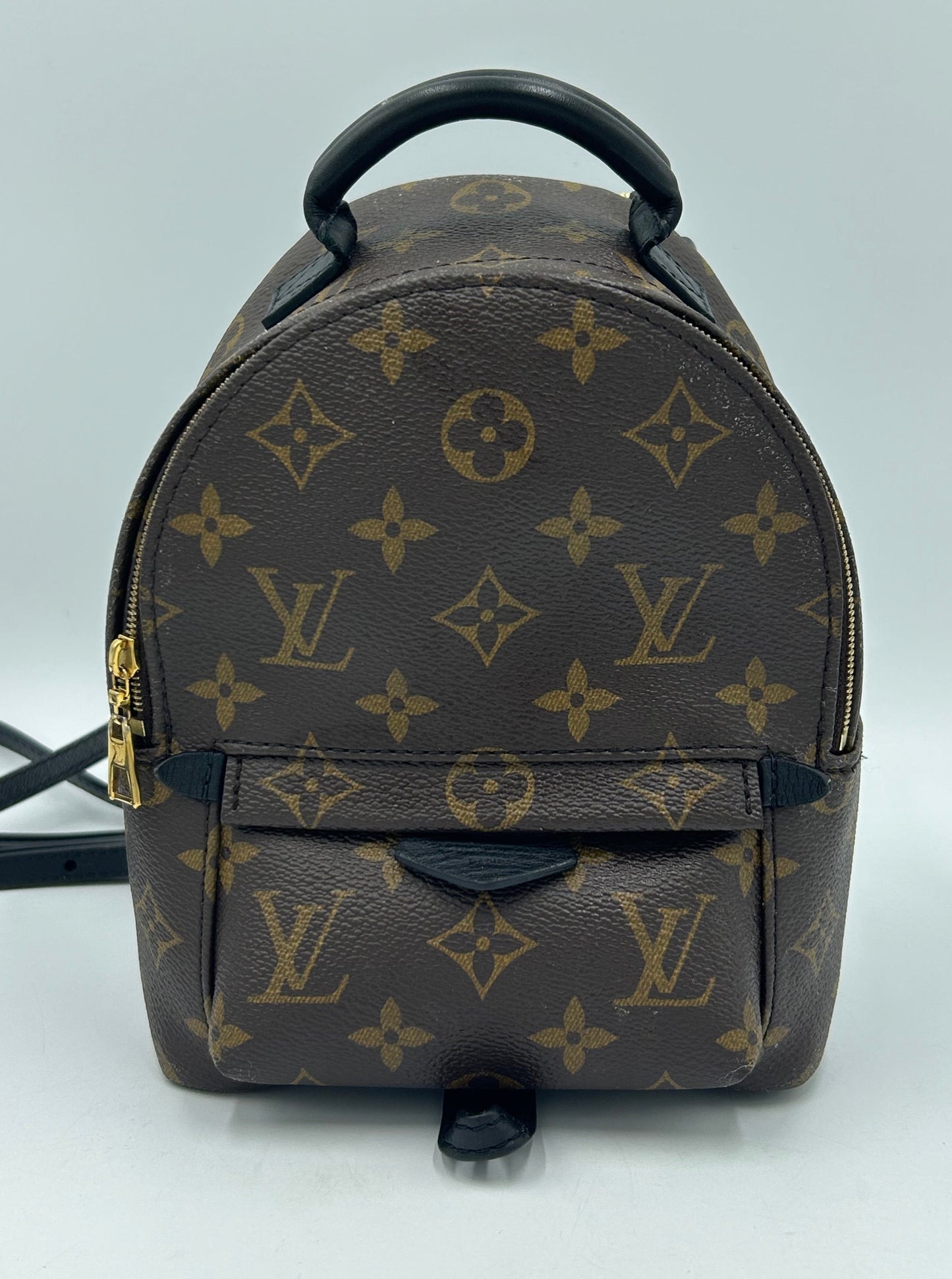 Louis Vuitton Palm Springs Mini Backpack