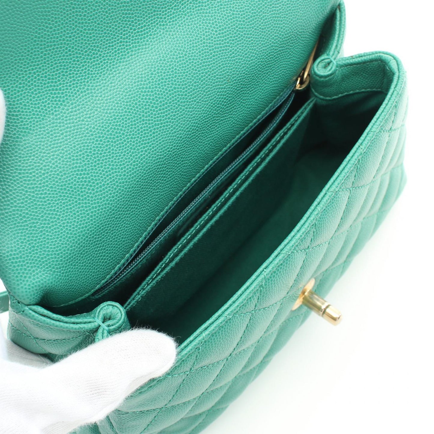 Chanel Coco Handle Flap Caviar Skin Exotic Leather Handbag